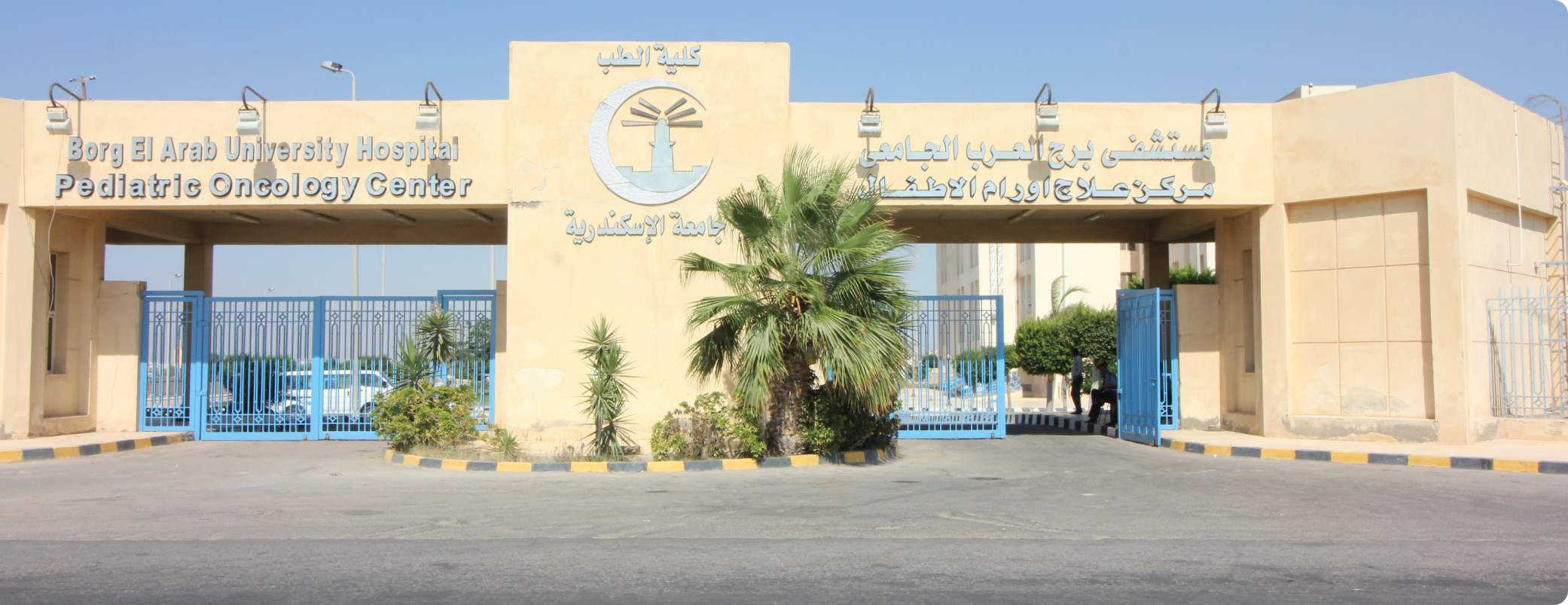 entrance to borg el arab hospital